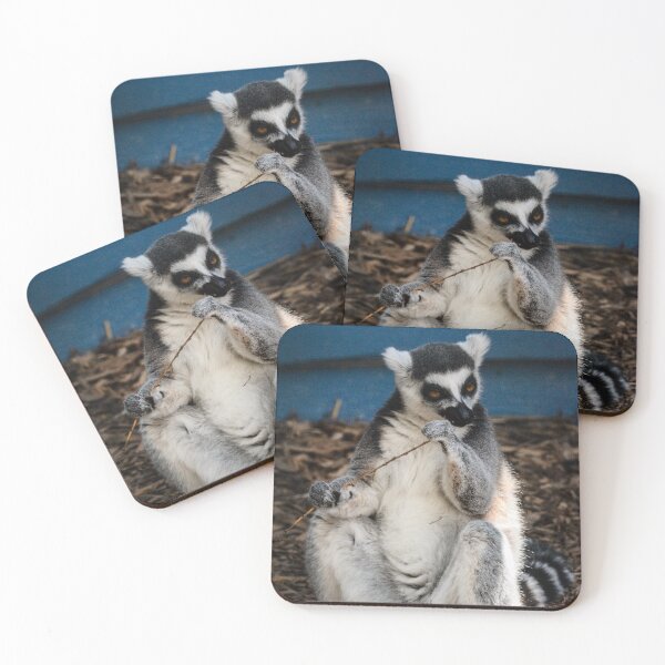 Item preview, Playful Ring-Tailed Lemur Holding a Twig | Wildlife Photography Print designed and sold by OliviaPhotosCA.