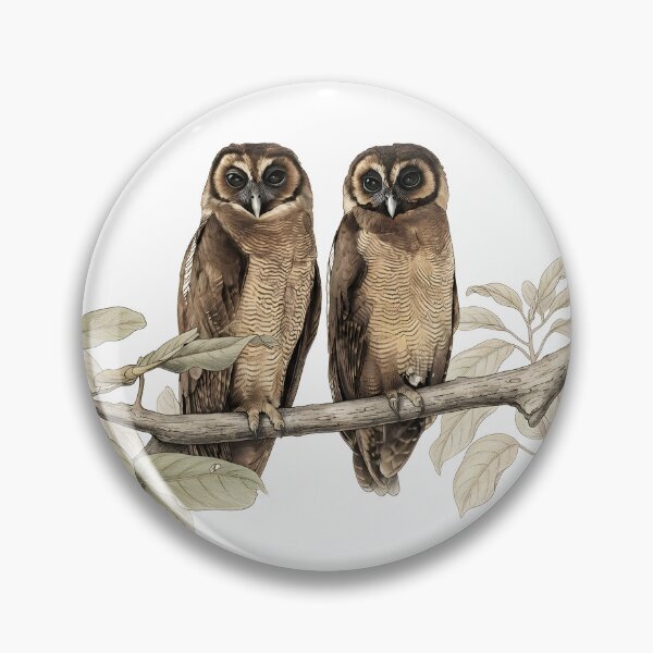 Item preview, illustrations of brown wood owl in a vintage natural history book designed and sold by wonderisland.