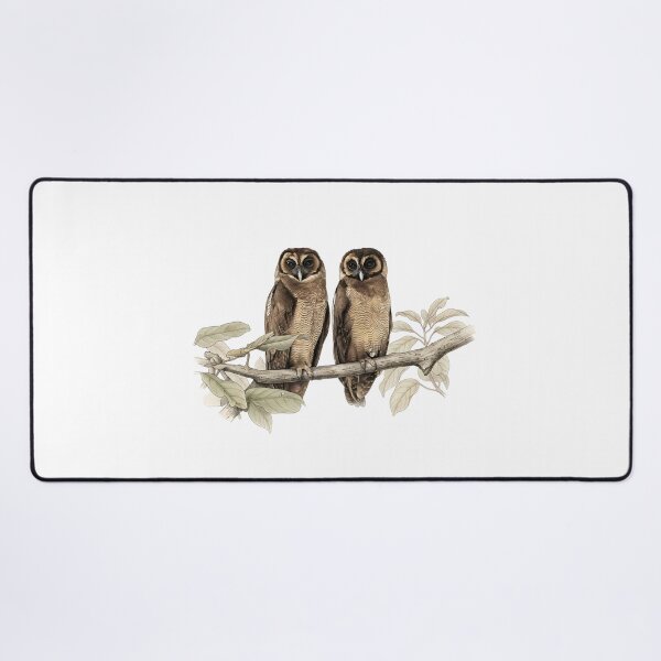 Item preview, illustrations of brown wood owl in a vintage natural history book designed and sold by wonderisland.