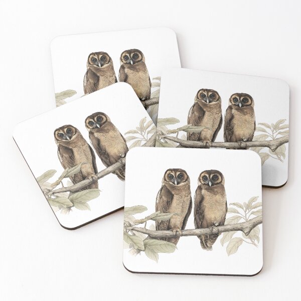 Item preview, illustrations of brown wood owl in a vintage natural history book designed and sold by wonderisland.