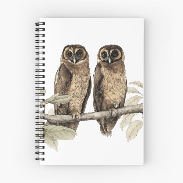 Item preview, illustrations of brown wood owl in a vintage natural history book designed and sold by wonderisland.