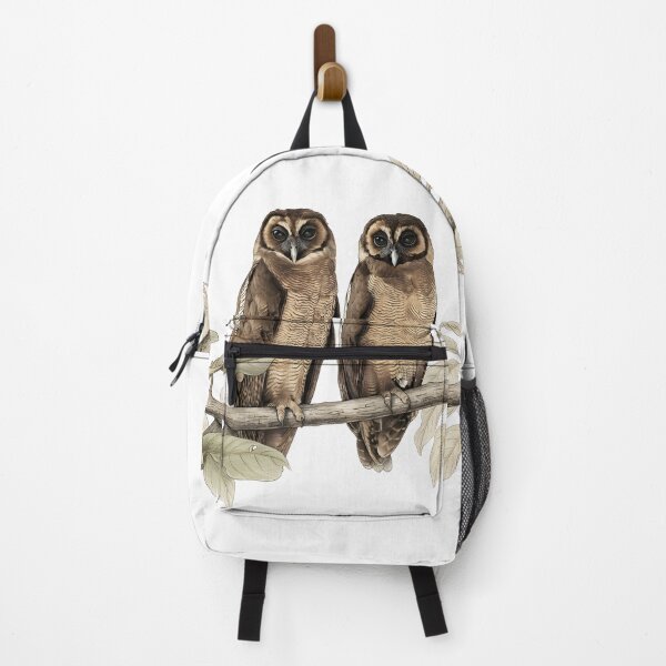 Item preview, illustrations of brown wood owl in a vintage natural history book designed and sold by wonderisland.