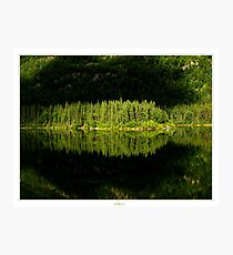 calmness Photographic Print