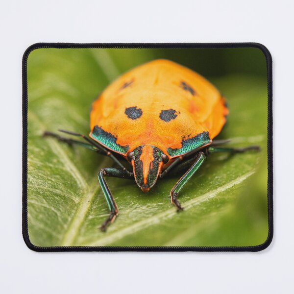 Item preview, Hibiscus Harlequin Bug designed and sold by robdanimalphotography.