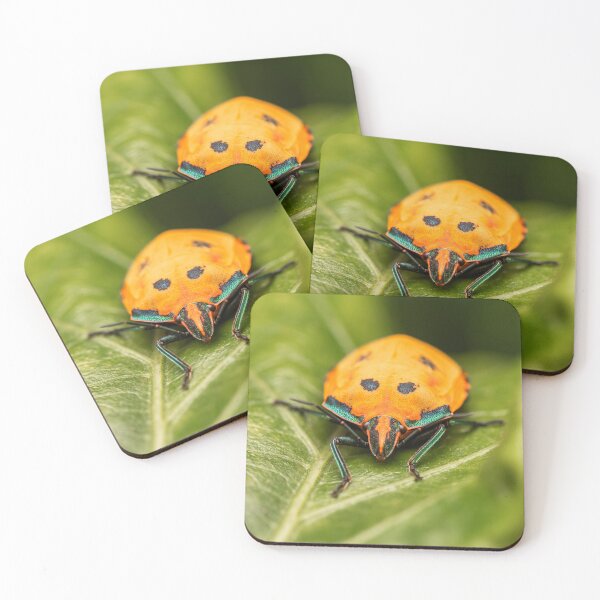 Item preview, Hibiscus Harlequin Bug designed and sold by robdanimalphotography.