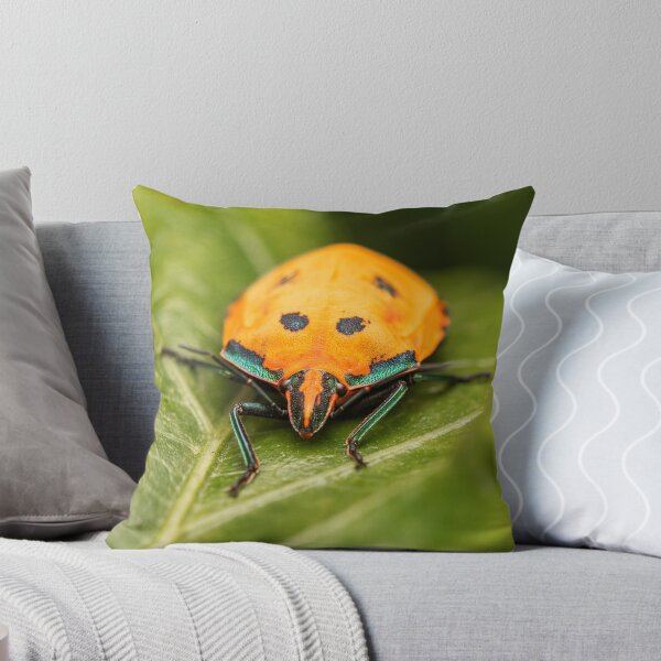 Item preview, Hibiscus Harlequin Bug designed and sold by robdwildlife.