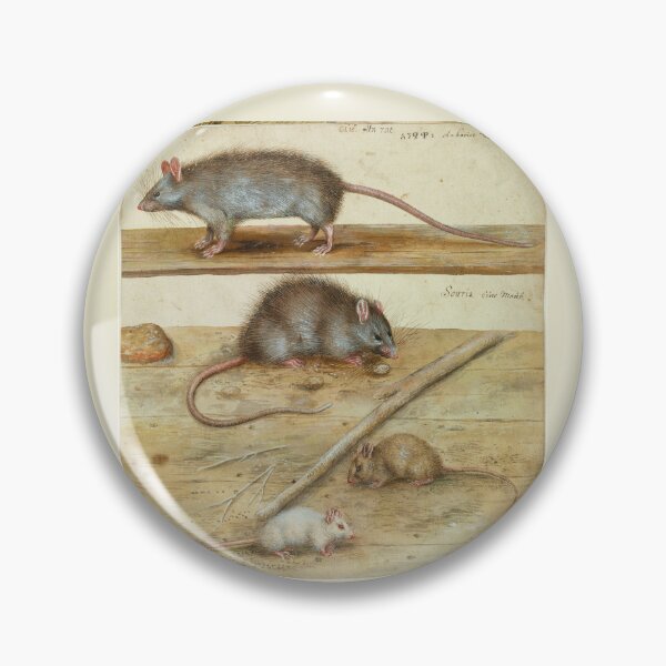 Item preview, Rats and Mice by Hans Verhagen de Stomme designed and sold by Amanda1775.