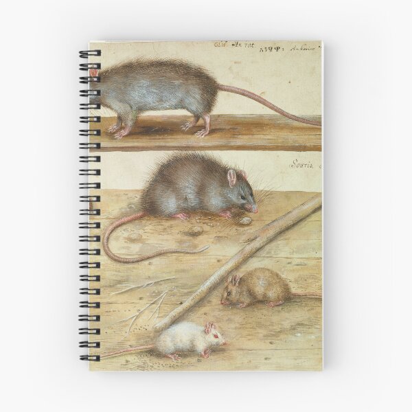 Item preview, Rats and Mice by Hans Verhagen de Stomme designed and sold by Amanda1775.