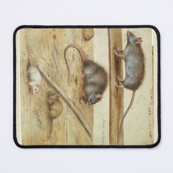 Item preview, Rats and Mice by Hans Verhagen de Stomme designed and sold by Amanda1775.