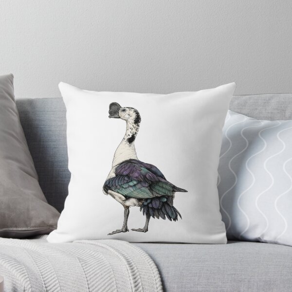 Item preview, illustrations of male knob-billed duck in a vintage natural history book designed and sold by wonderisland.