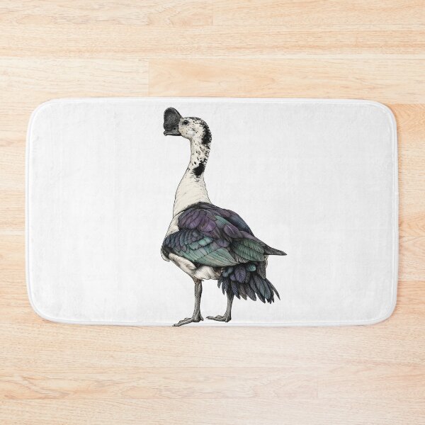 Item preview, illustrations of male knob-billed duck in a vintage natural history book designed and sold by wonderisland.