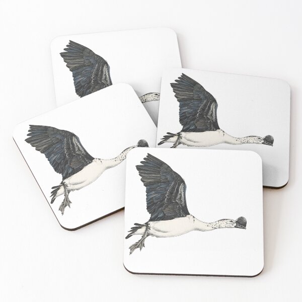 Item preview, illustrations of flying male knob-billed duck in a vintage natural history book designed and sold by wonderisland.