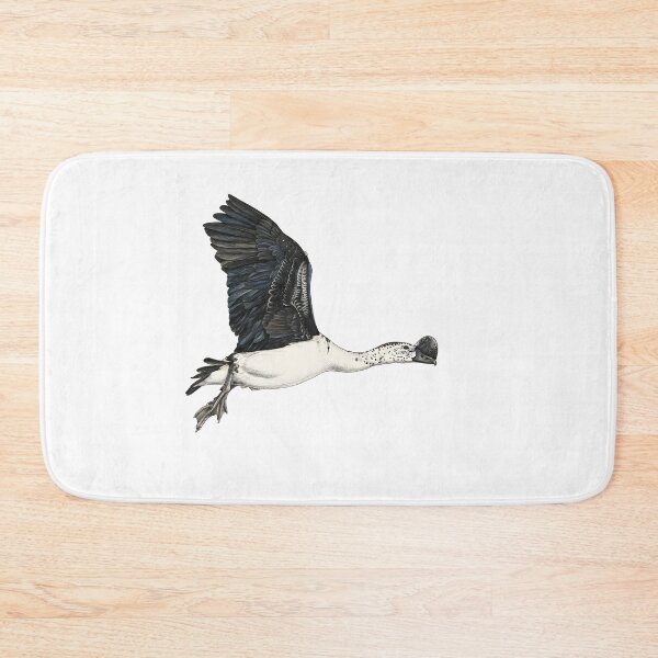 Item preview, illustrations of flying male knob-billed duck in a vintage natural history book designed and sold by wonderisland.