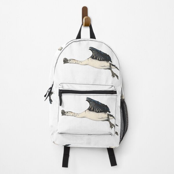 Item preview, illustrations of flying male knob-billed duck in a vintage natural history book designed and sold by wonderisland.