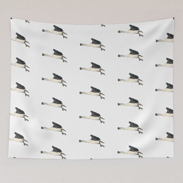 Item preview, illustrations of flying male knob-billed duck in a vintage natural history book designed and sold by wonderisland.