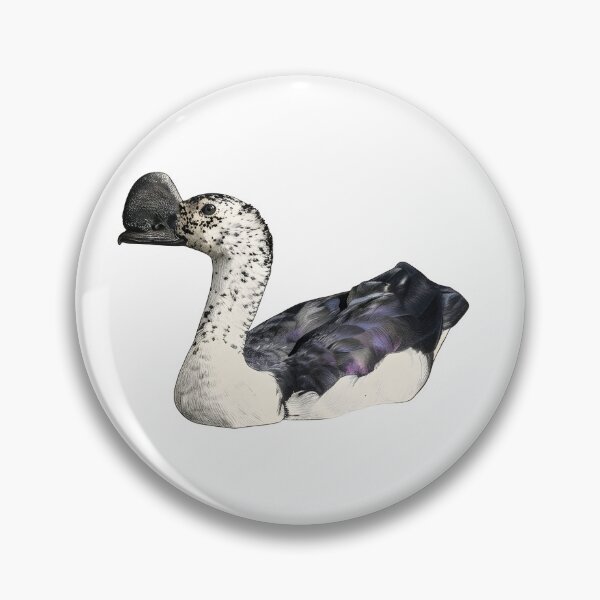 Item preview, illustrations of flying male knob-billed duck in a vintage natural history book designed and sold by wonderisland.
