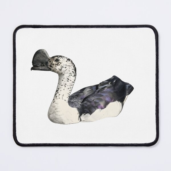 Item preview, illustrations of flying male knob-billed duck in a vintage natural history book designed and sold by wonderisland.
