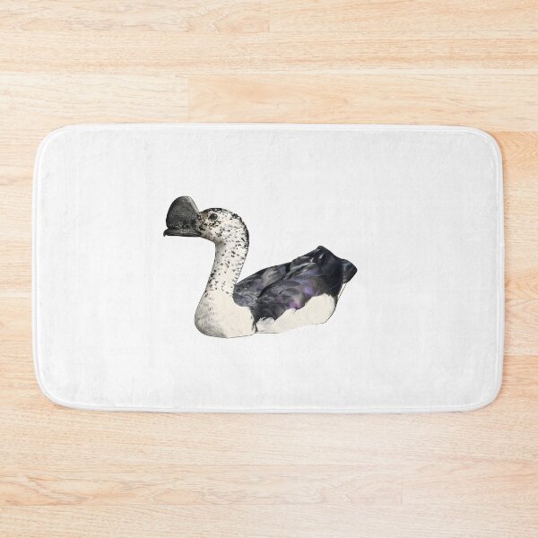 Item preview, illustrations of flying male knob-billed duck in a vintage natural history book designed and sold by wonderisland.