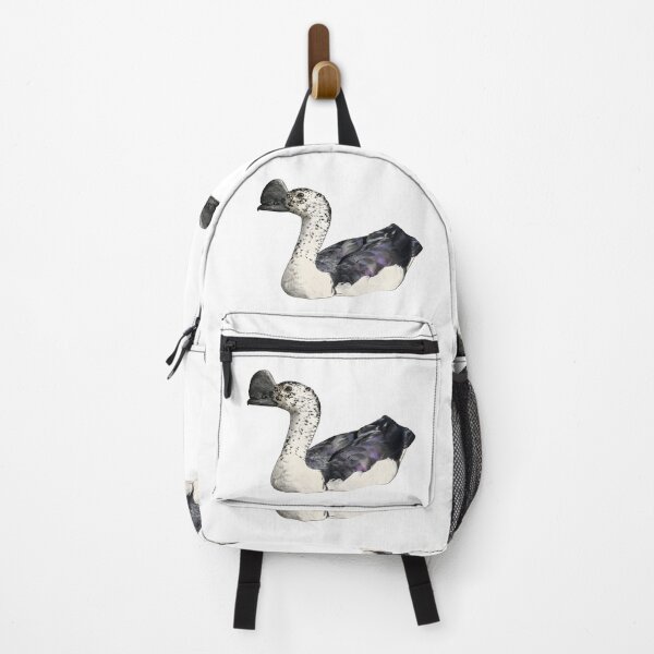 Item preview, illustrations of flying male knob-billed duck in a vintage natural history book designed and sold by wonderisland.
