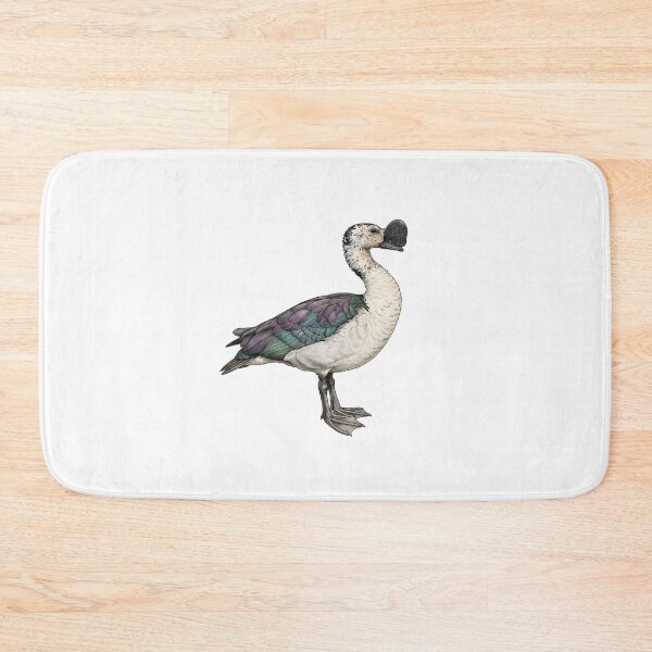 Item preview, illustrations of flying male knob-billed duck in a vintage natural history book designed and sold by wonderisland.