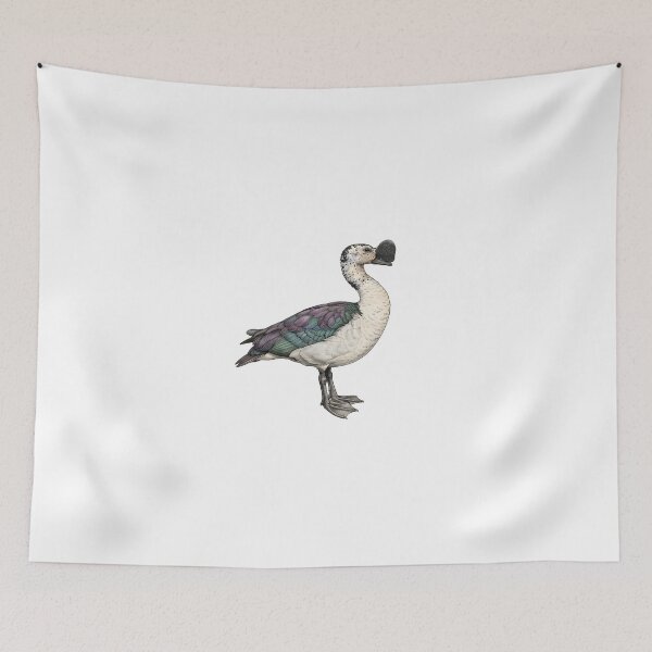 Item preview, illustrations of flying male knob-billed duck in a vintage natural history book designed and sold by wonderisland.
