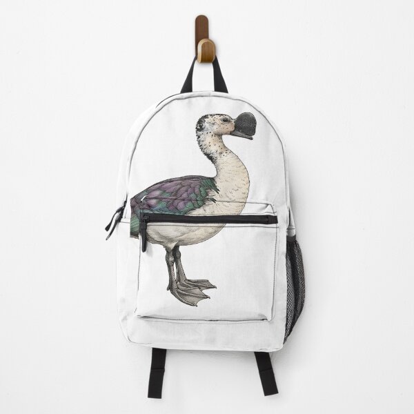Item preview, illustrations of flying male knob-billed duck in a vintage natural history book designed and sold by wonderisland.