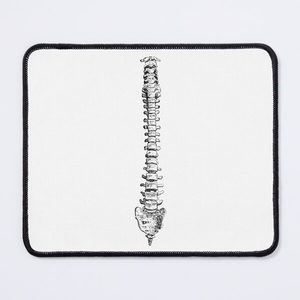 Item preview, Human Spine Anatomy - Medical Clipart, Skeleton Bone Anatomy designed and sold by DGMaxShop.