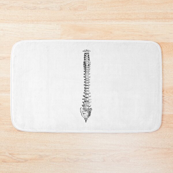 Item preview, Human Spine Anatomy - Medical Clipart, Skeleton Bone Anatomy designed and sold by DGMaxShop.