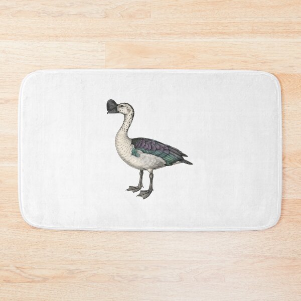 Item preview, illustrations of male knob-billed duck in a vintage natural history book designed and sold by wonderisland.