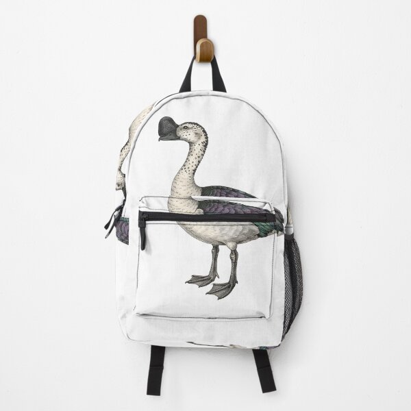 Item preview, illustrations of male knob-billed duck in a vintage natural history book designed and sold by wonderisland.