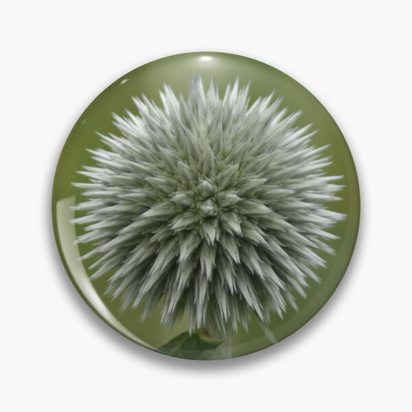 Item preview, Silver Globe Thistle Flower Macro Photography designed and sold by TathataPhotos.