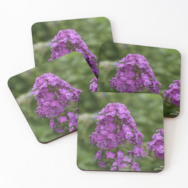 Item preview, Purple Phlox Flower Macro Photography designed and sold by TathataPhotos.