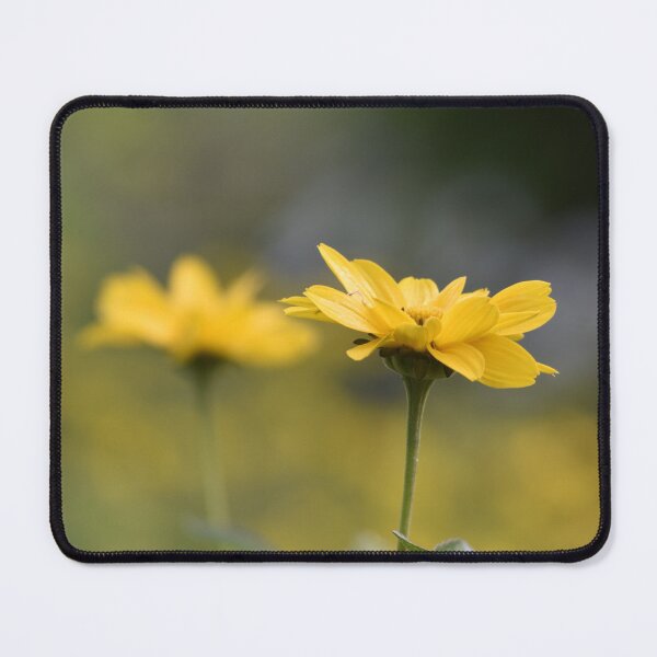 Item preview, Soft Yellow Wildflowers Morning Light Macro designed and sold by TathataPhotos.