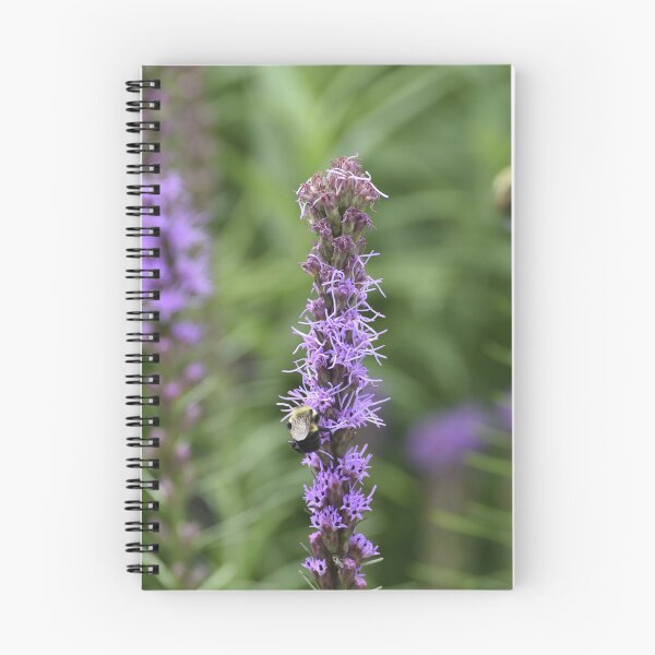 Item preview, Purple Liatris Spike with Bumblebee designed and sold by TathataPhotos.