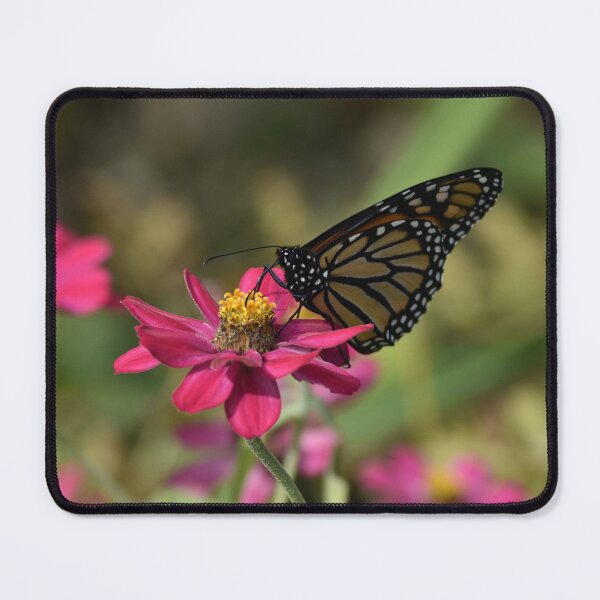 Item preview, Monarch Butterfly On Pink Zinnia designed and sold by TathataPhotos.