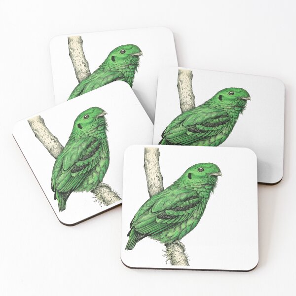Item preview, illustrations of male Green Broadbill in a vintage natural history book designed and sold by wonderisland.
