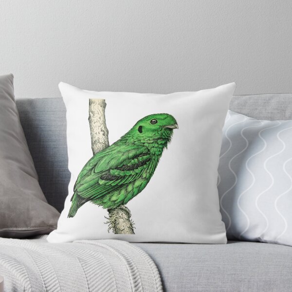 Item preview, illustrations of male Green Broadbill in a vintage natural history book designed and sold by wonderisland.