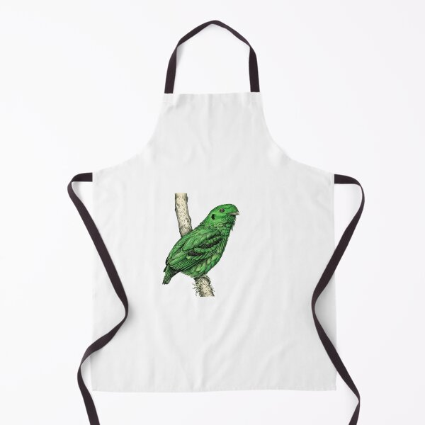 Item preview, illustrations of male Green Broadbill in a vintage natural history book designed and sold by wonderisland.