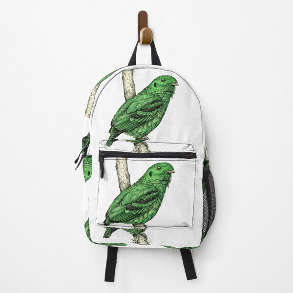 Item preview, illustrations of male Green Broadbill in a vintage natural history book designed and sold by wonderisland.