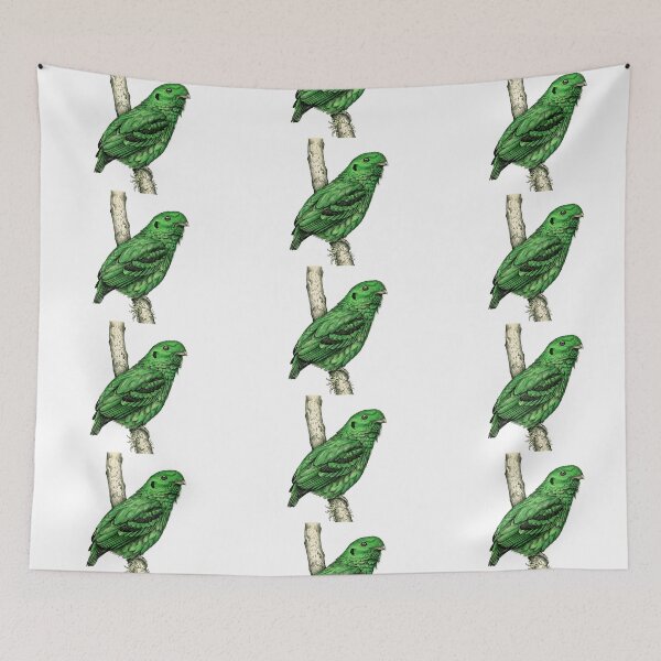 Item preview, illustrations of male Green Broadbill in a vintage natural history book designed and sold by wonderisland.