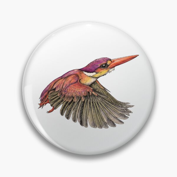 Item preview, Rufous-backed Kingfisher illustrations in a vintage natural history book designed and sold by wonderisland.