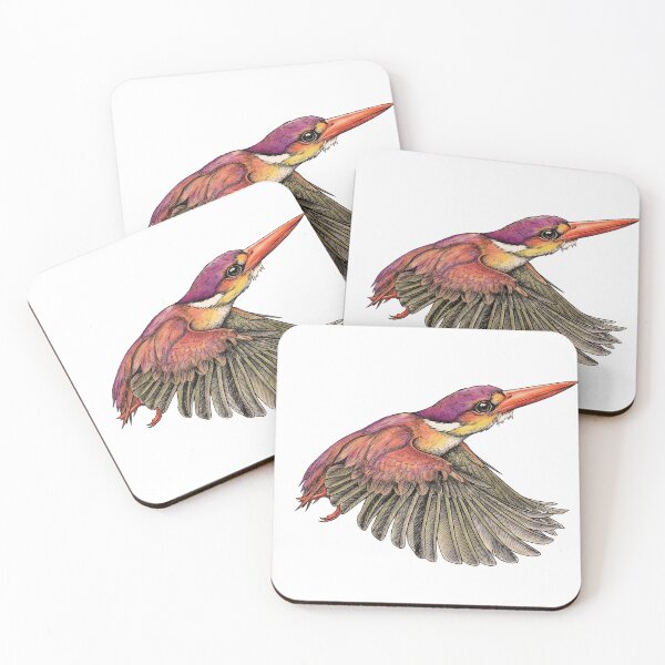 Item preview, Rufous-backed Kingfisher illustrations in a vintage natural history book designed and sold by wonderisland.