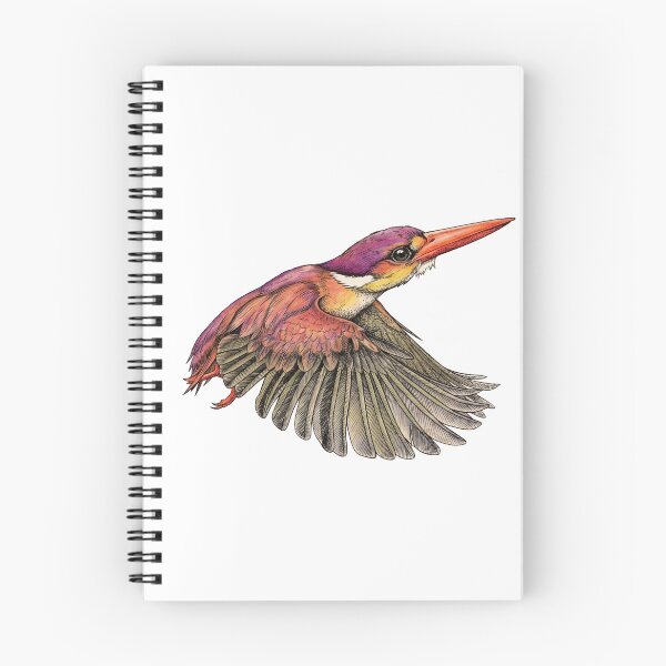 Item preview, Rufous-backed Kingfisher illustrations in a vintage natural history book designed and sold by wonderisland.