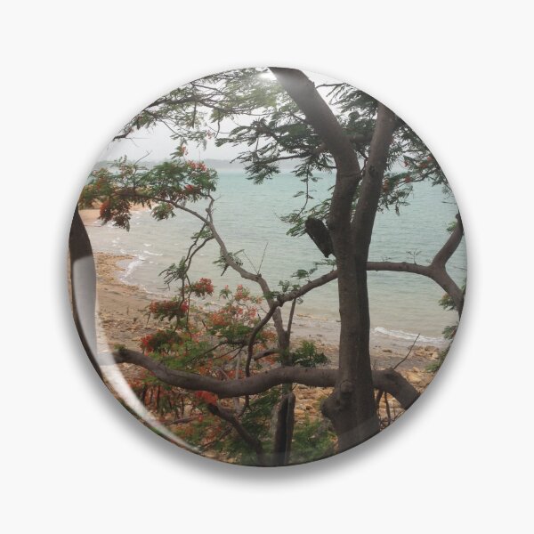 Item preview, Flowering Tree Turquoise Cove | Australian Coastal Landscape Photo designed and sold by SouthernXStudio.