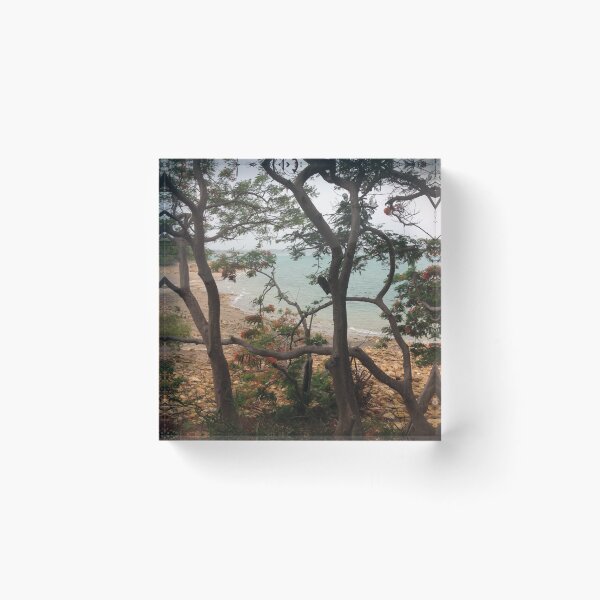 Item preview, Flowering Tree Turquoise Cove | Australian Coastal Landscape Photo designed and sold by SouthernXStudio.