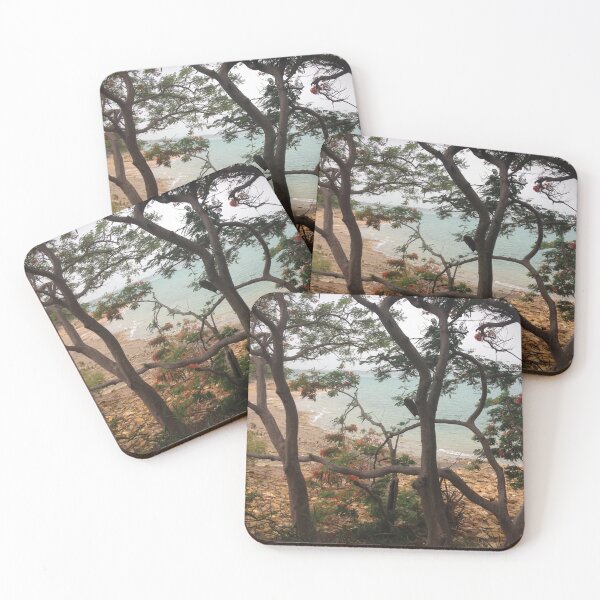 Item preview, Flowering Tree Turquoise Cove | Australian Coastal Landscape Photo designed and sold by SouthernXStudio.