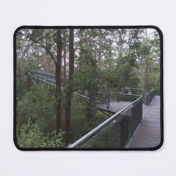 Item preview, Karri Forest Treetop Walk | WA Australian Nature Photography designed and sold by SouthernXStudio.