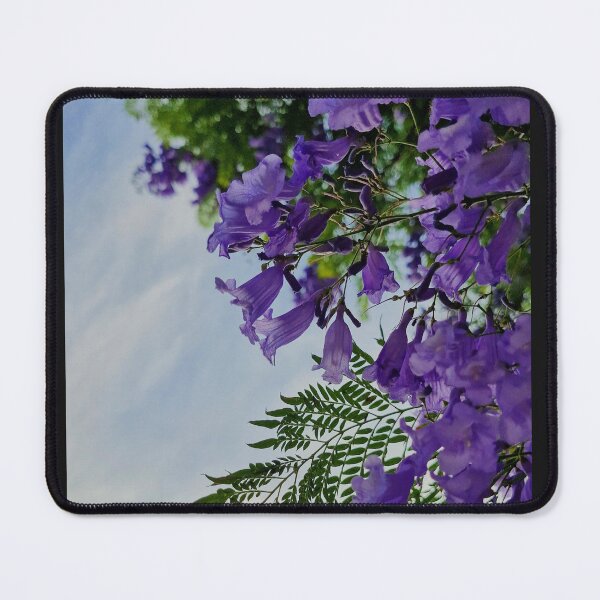 Item preview, spring bloom, blue jacaranda designed and sold by Lunar-Dragon.