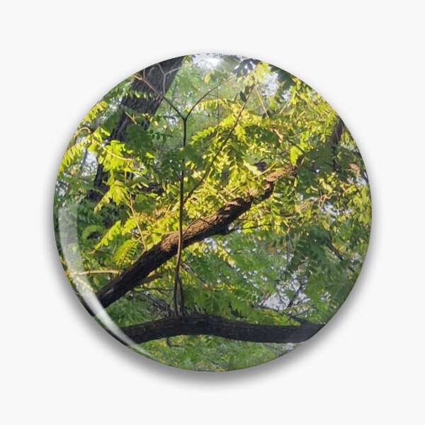 Item preview, sunlit branches designed and sold by Lunar-Dragon.