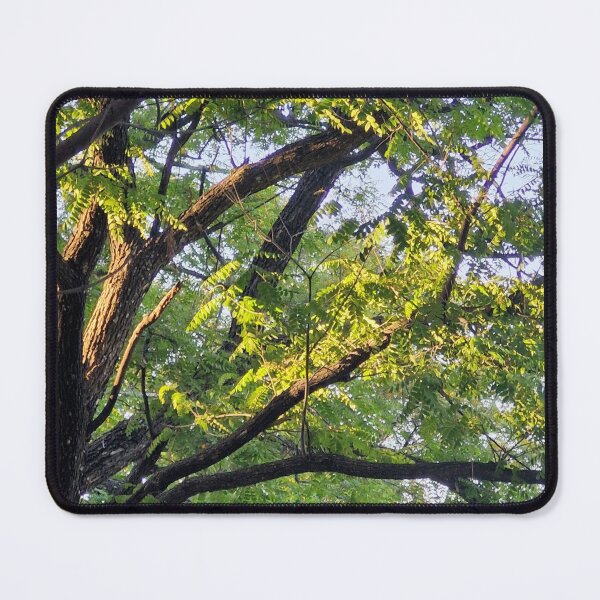 Item preview, sunlit branches designed and sold by Lunar-Dragon.